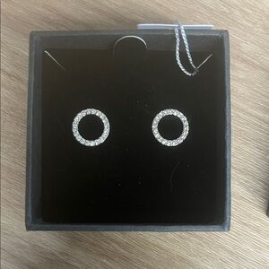 Swarovski Silver Crystal Hoop Earrings